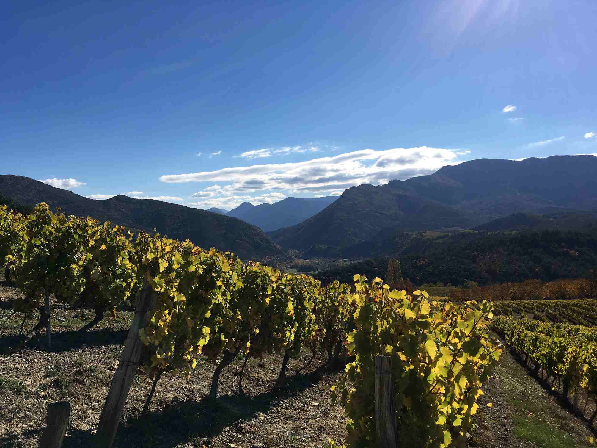 vignes gite valerie die